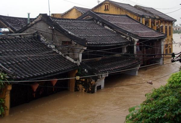 Nhiều nhà cổ Hội An oằn mình vì mối mọt trong mùa Covid ảnh 1