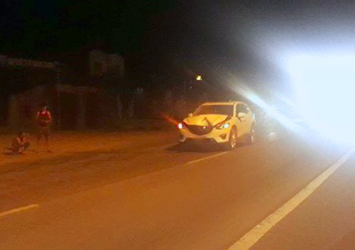 Bò bị tông chết, chủ không dám nhận vì sợ phạt ảnh 2