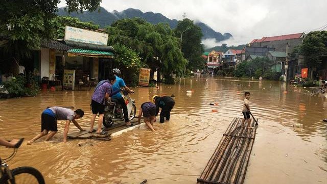 Thức trắng đêm cứu hàng nghìn con lợn bị ngập trong nước lũ ảnh 10