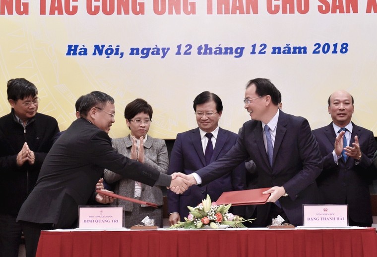 Phải cung ứng đủ than để phát điện, bảo đảm sản xuất và sinh hoạt ảnh 1