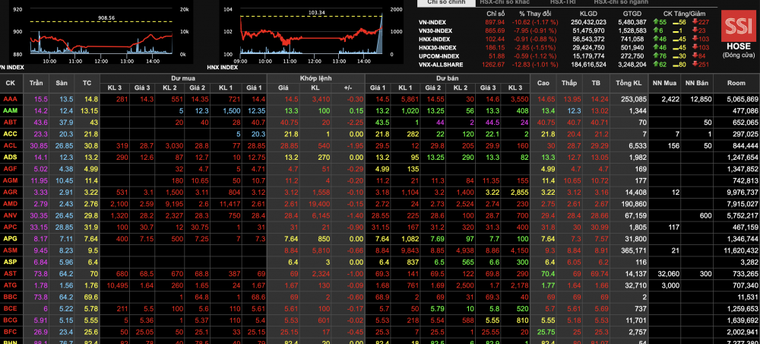 Chứng khoán giảm sâu, 'ngôi sao' của thị trường thuộc về ROS ảnh 1