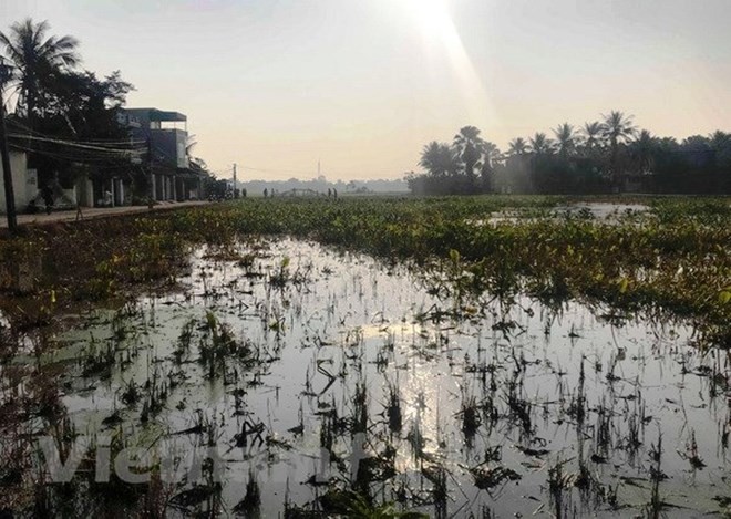 10 vấn đề nóng của ngành tài nguyên và môi trường trong năm 2018 ảnh 2