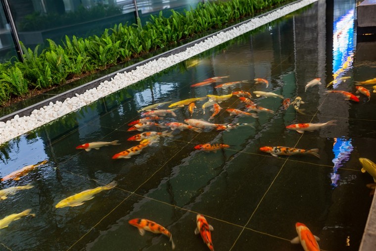 Nghỉ dưỡng ở… sân bay ảnh 1