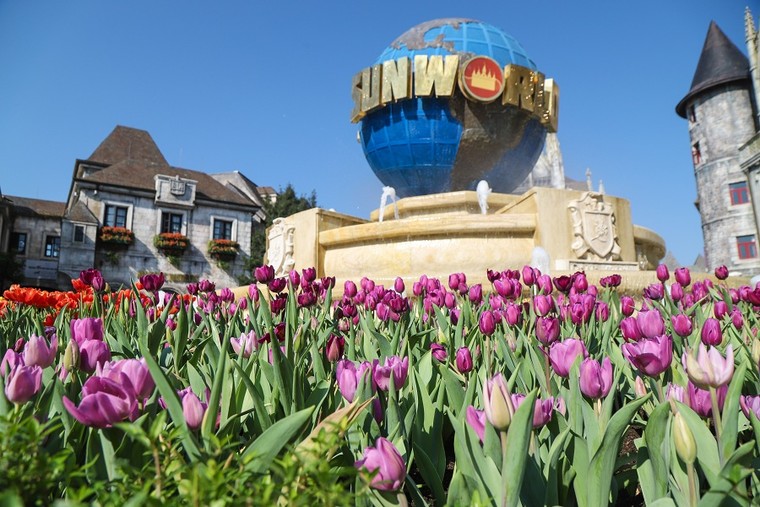 Xuân ngất ngây ở 'xứ hoa nở trong mây' ảnh 3