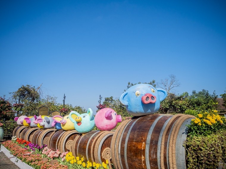 Xuân ngất ngây ở 'xứ hoa nở trong mây' ảnh 9