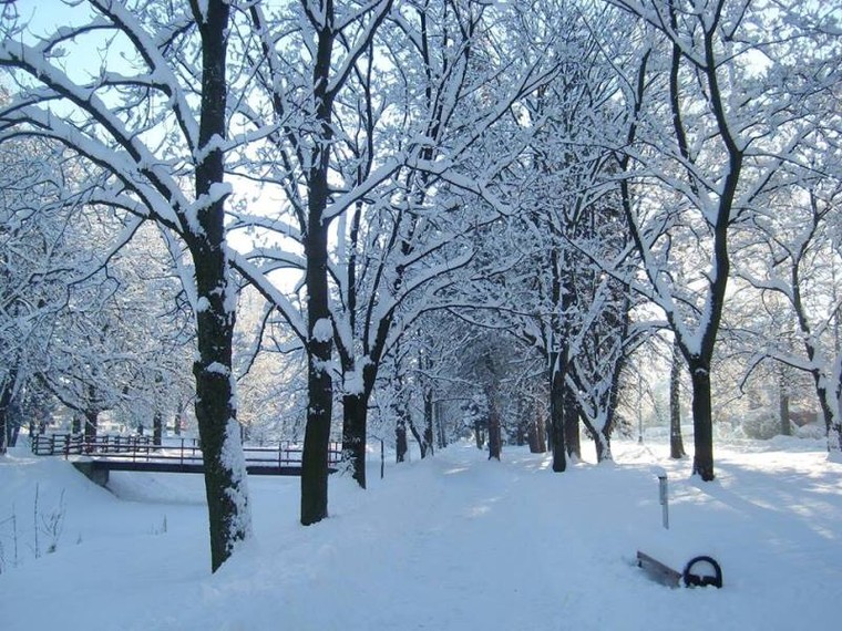 Pháo bông, bánh chưng xanh theo chân người đi xa… ảnh 1