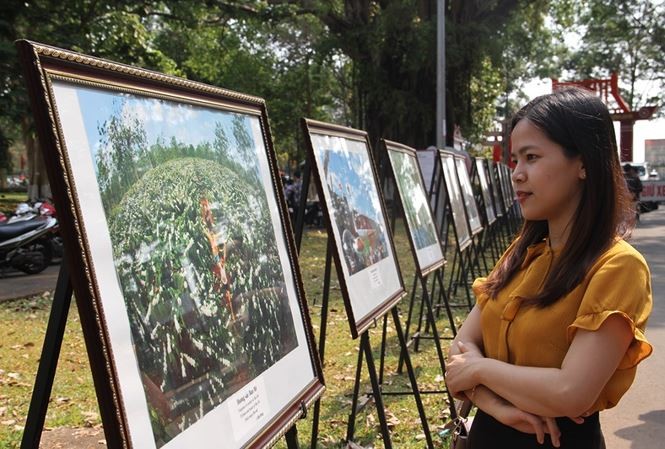 Triển lãm ảnh '44 năm chiến thắng Buôn Ma Thuột - Những chặng đường lịch sử' ảnh 9