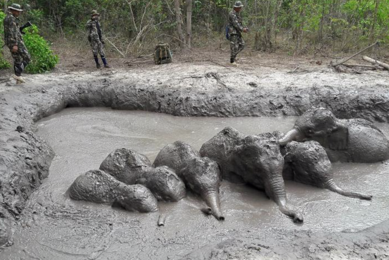 Những hình ảnh nổi bật Thế giới tuần qua ảnh 8