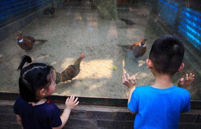 Vườn thú, công viên Hà Nội đông nghịt người trong ngày nghỉ lễ ảnh 4