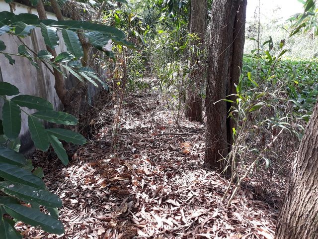 Vụ phát hiện xác thai nhi trong rác: Kiến nghị giám định mẫu vật trong hũ sành ảnh 1