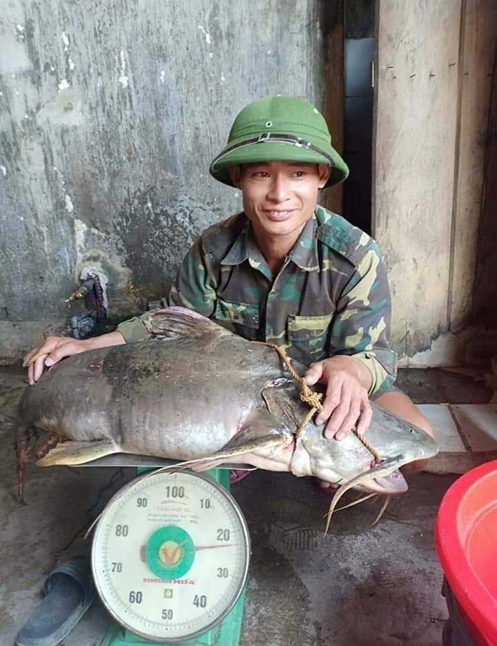 ‘Thủy quái’ sông Nậm Mộ dính câu dân vạn chài ảnh 1