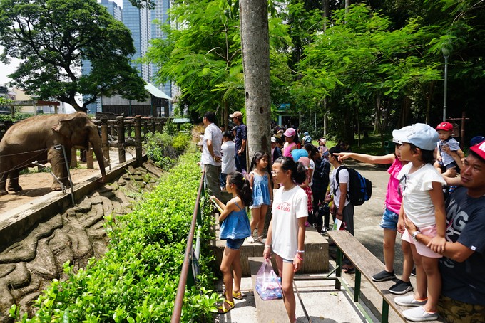 Gợi ý những địa điểm vui chơi bổ ích và lý thú cho bé ngày 1/6 ảnh 11