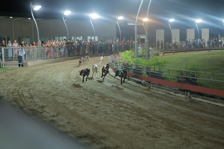 Hơn 3.000 khán giả tham dự chuỗi sự kiện 'Chào hè sôi động' tại Hoa Tiên Paradise – Xuân Thành Golf and Resort ảnh 4