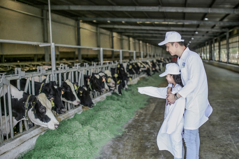 Diễn viên Mạnh Trường: 'Mong nhiều trẻ em được thụ hưởng chương trình sữa học đường hơn nữa' ảnh 4