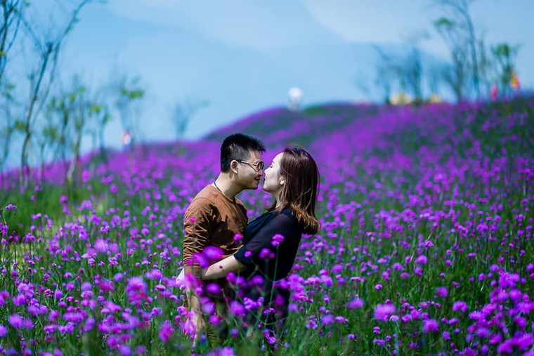 Nhất định phải đến đây nếu muốn tận hưởng không khí 6 độ giữa mùa hè ảnh 6