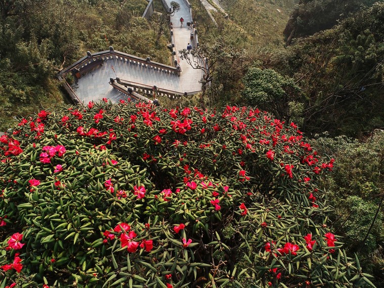 Nhất định phải đến đây nếu muốn tận hưởng không khí 6 độ giữa mùa hè ảnh 7