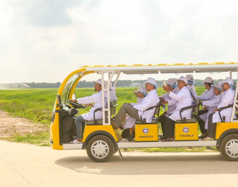 Tận mắt thấy những cô bò ở 'Resort' góp công vào ly sữa học đường ảnh 1