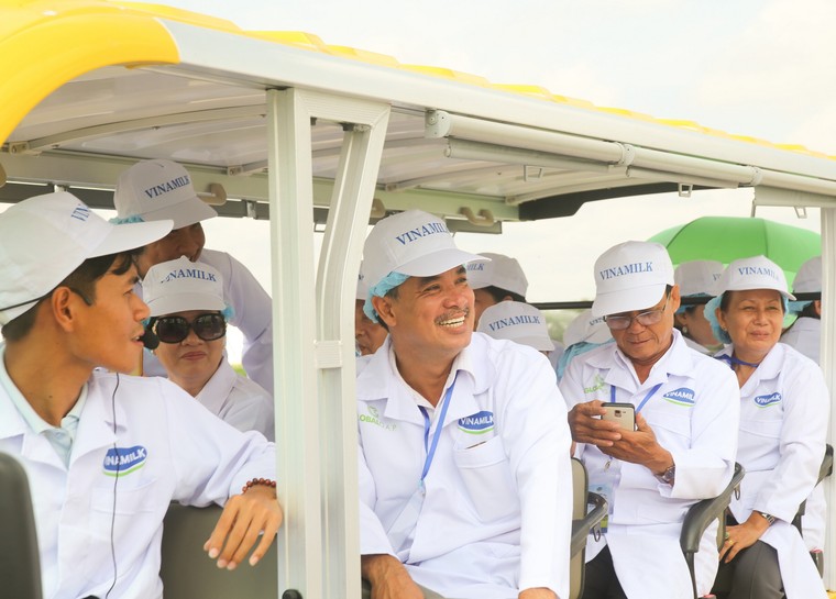 Tận mắt thấy những cô bò ở 'Resort' góp công vào ly sữa học đường ảnh 2