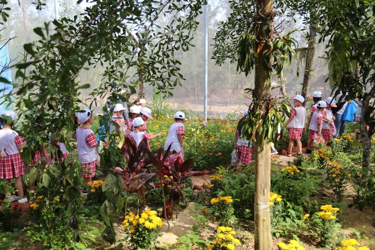 FLC Hotels & Resorts: Hành trình 'nắm tay con đi khắp muôn nơi' ảnh 4