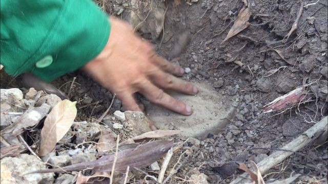 Vụ hơn 300 xác thai nhi: Sở Y tế Cà Mau quyết định xử lý ra sao? ảnh 1