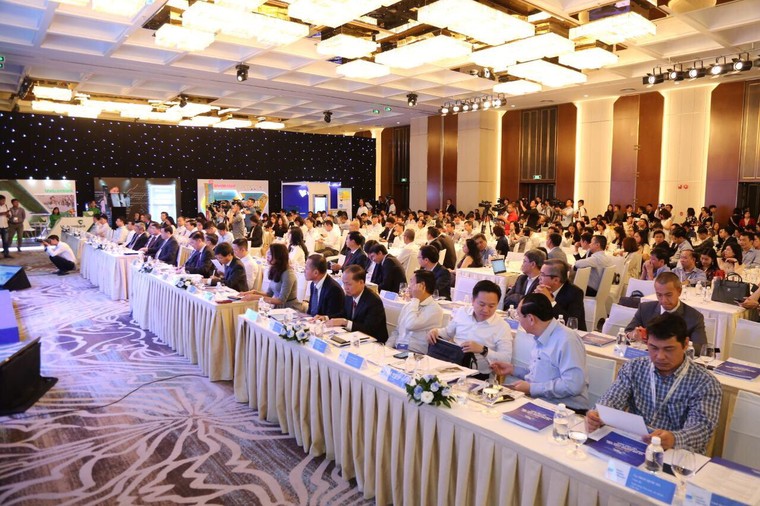 Vietjet tiên phong ứng dụng không dùng tiền mặt ảnh 4