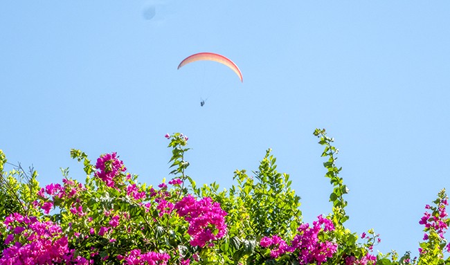 Lần đầu tiên đảo Lý Sơn tổ chức giải dù lượn quốc tế ảnh 2