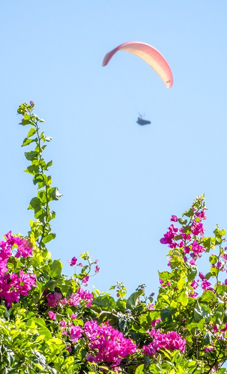 Lần đầu tiên đảo Lý Sơn tổ chức giải dù lượn quốc tế ảnh 5