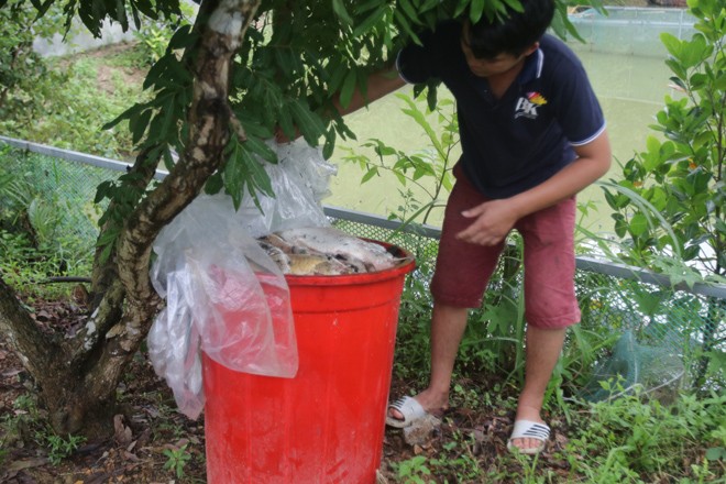 Phát hiện dầu thải ở đầu nguồn nước sạch sông Đà ảnh 3