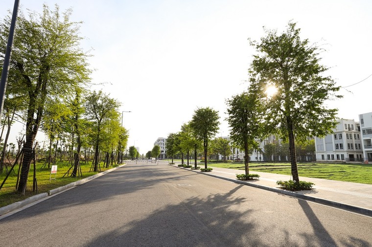 The Manor Central Park: Tầm nhìn quy hoạch của tương lai ảnh 1