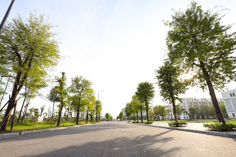 Thị trường địa ốc sôi động cùng đợt mở bán mới của The Manor Central Park ảnh 2