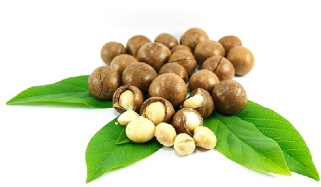 Hạt mắc ca chứa nhiều tocotrienol, hỗ trợ bảo vệ các tế bào não khỏi...?