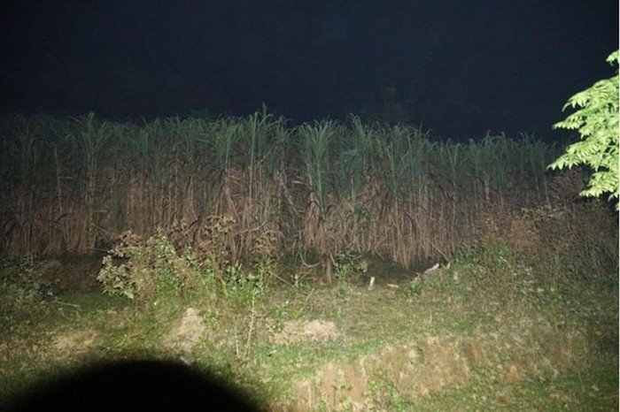 Trưng cầu giám định tâm thần mẹ kế sát hại con chồng ở Tuyên Quang ảnh 1