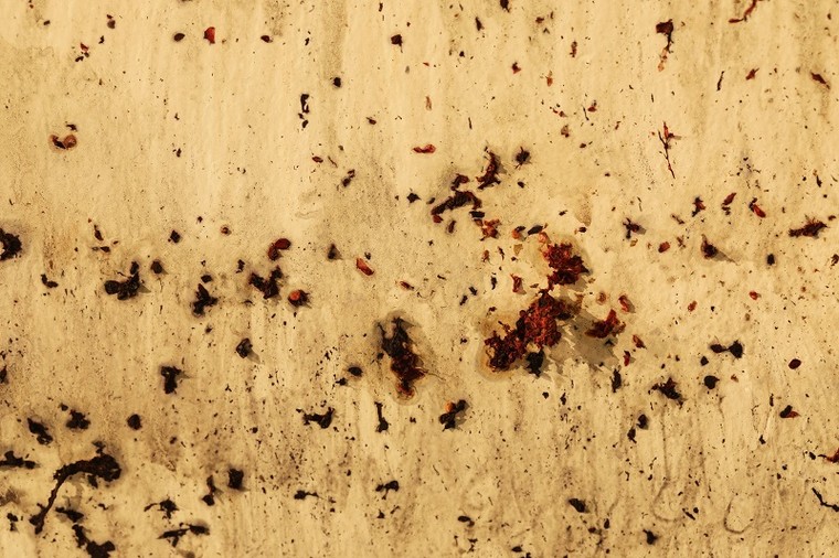 ‘Tỏa 3’ - Cuộc thử nghiệm táo bạo của nghệ thuật đương đại ảnh 1