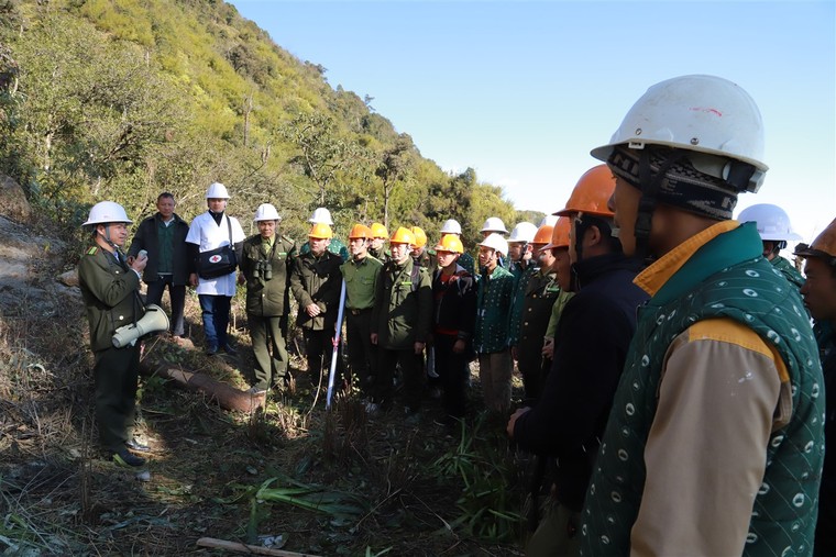 Lào Cai: Bảo vệ rừng song hành cùng phát triển du lịch ảnh 2