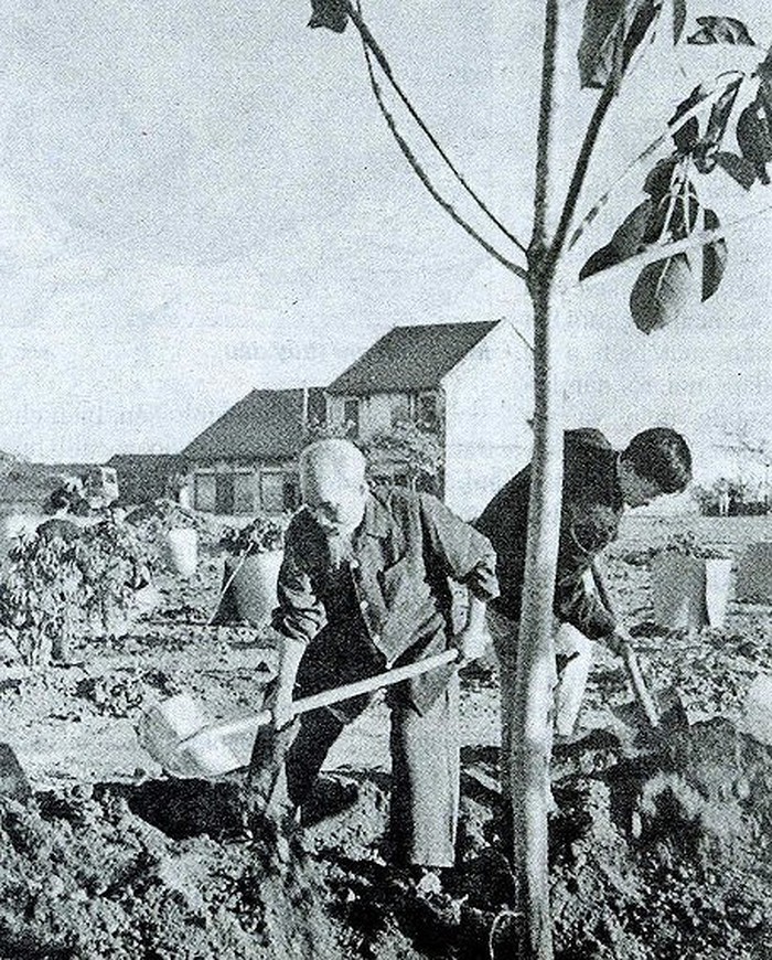 Mở đầu cho phong trào 