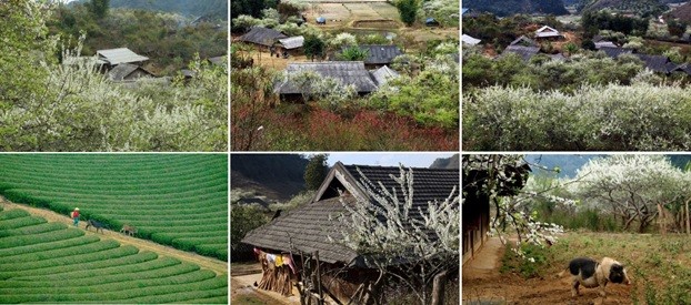 Tết này nghỉ không nhiều, du xuân đâu cho chất ảnh 1