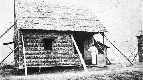 Yersin tìm ra trực khuẩn gây bệnh dịch hạch khi đang ở đâu?