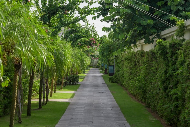 Đá hạ tầng xây dựng - triển vọng phát triển bùng nổ ảnh 3