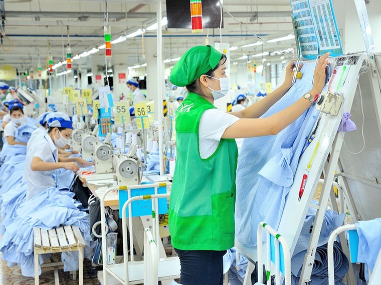 Vào EVFTA: Phải chủ động được nguyên liệu ảnh 2