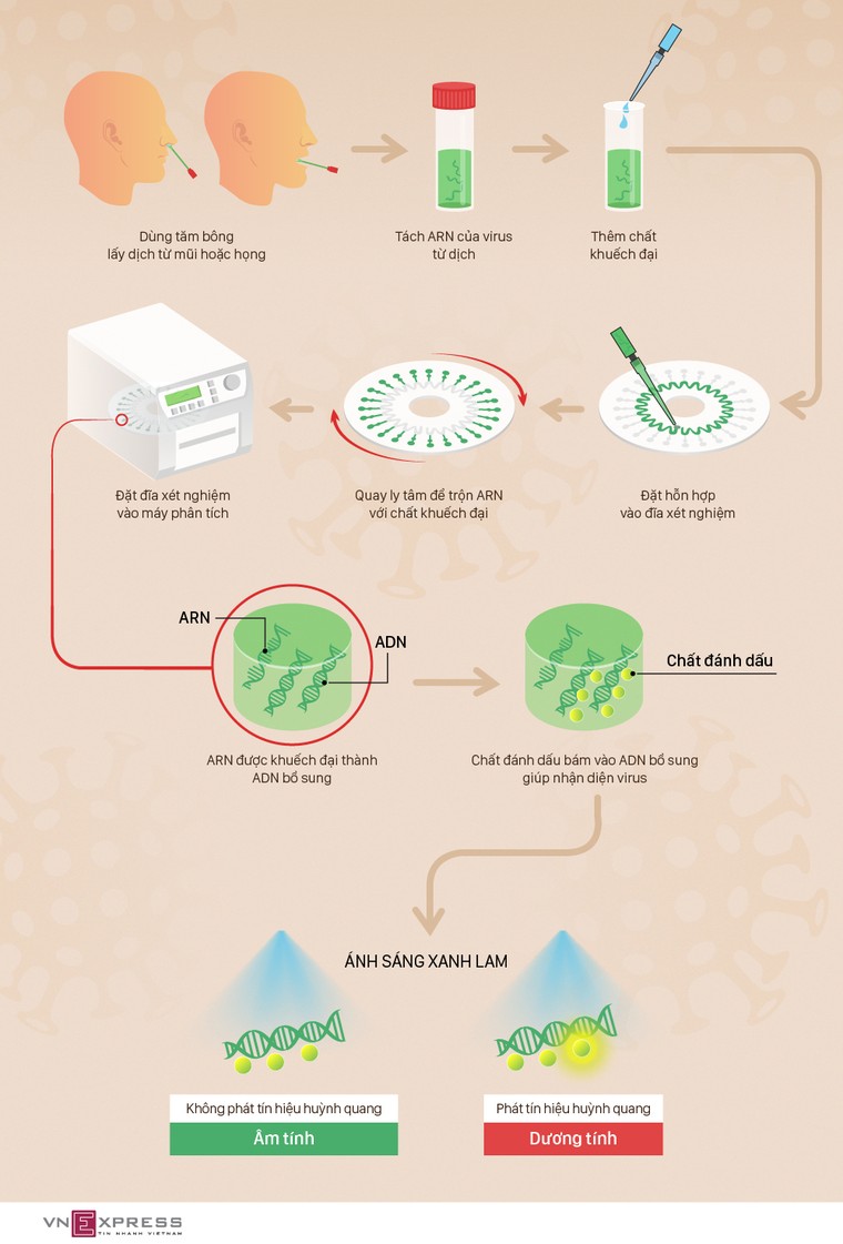 Các bước xét nghiệm nhanh nCoV ảnh 1