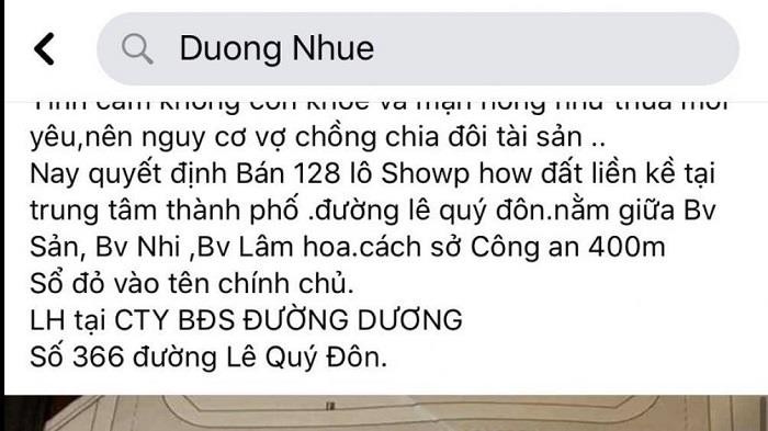 Vợ chồng Đường Dương dùng mánh khóe nào để đấu giá đất? ảnh 1