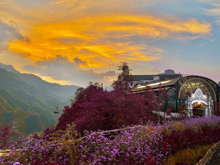 Sun World Fansipan Legend tung gói kích cầu toàn quốc, tặng ngay 250K khi mua vé cáp treo ảnh 5