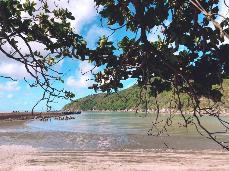 Đảo Hòn Khoai có diện tích khoảng bao nhiêu km2?