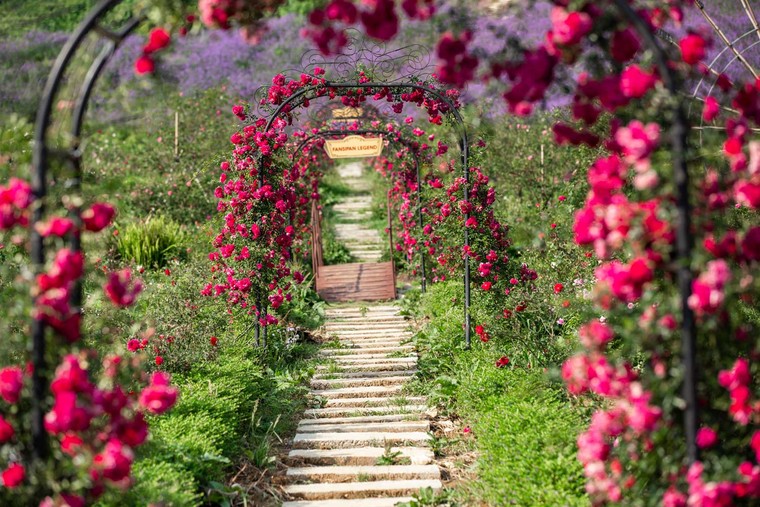 Sa Pa tràn ngập ưu đãi, du khách nô nức check-in giải nhiệt mùa hè ảnh 9