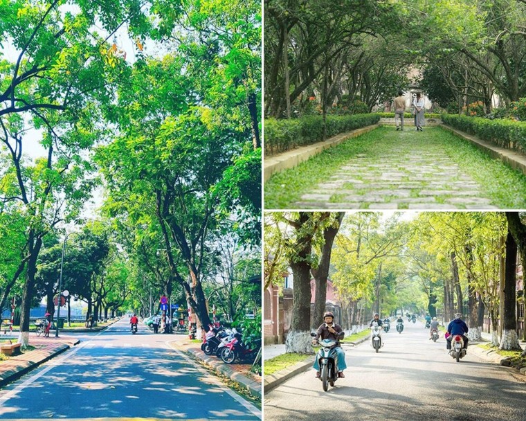 Khám phá ba điểm đến trong lành bậc nhất Việt Nam ảnh 1