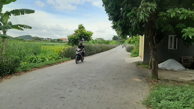 Hải Phòng: Truy tìm 2 đối tượng lạ mặt chém trọng thương cán bộ phường ảnh 1