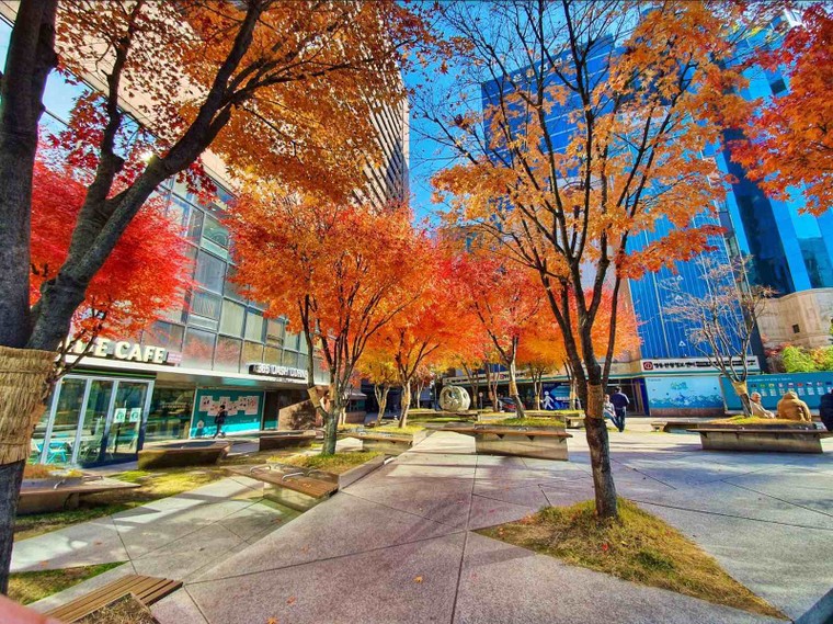 Thoả thích bay giữa Việt Nam và Hàn Quốc với hạng vé SkyBoss nâng cấp và Deluxe mới của Vietjet ảnh 2