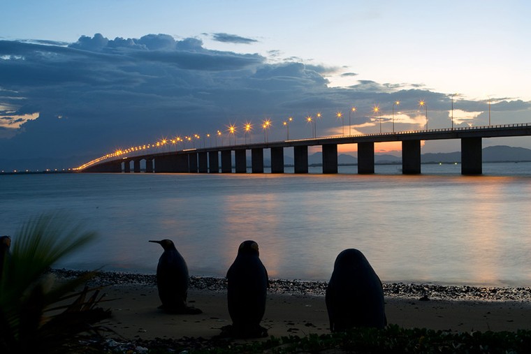 Những công trình hạ tầng thay đổi diện mạo Quy Nhơn ảnh 1