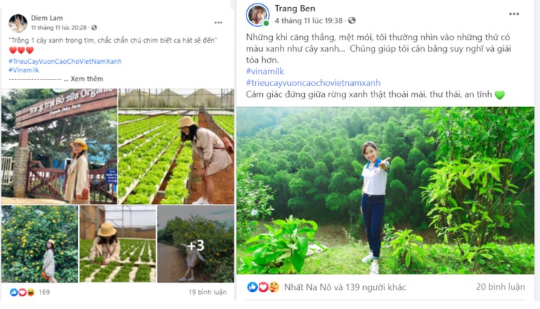 Thêm hàng ngàn cây xanh được trồng qua chiến dịch 'Triệu cây vươn cao cho việt nam xanh' ảnh 4