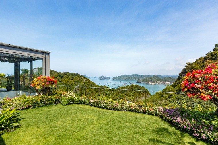 Flamingo Cát Bà: Chương mới của một huyền thoại ảnh 1